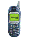 Best available price of Motorola T190 in Pakistan