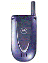Best available price of Motorola V66i in Pakistan